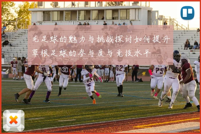 毛足球的魅力与挑战探讨如何提升草根足球的参与度与竞技水平