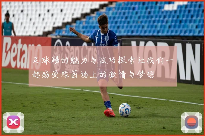 足球踢的魅力与技巧探索让我们一起感受绿茵场上的激情与梦想