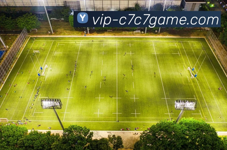 品牌力量发展历程